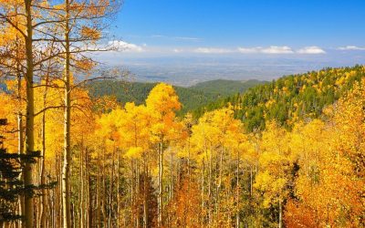 10 tiểu bang có mùa thu đẹp nhất nước Mỹ