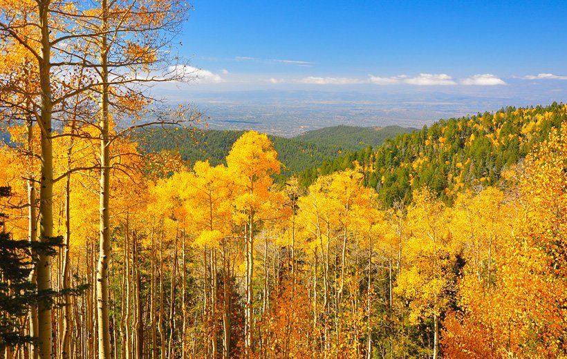 10 tiểu bang có mùa thu đẹp nhất nước Mỹ