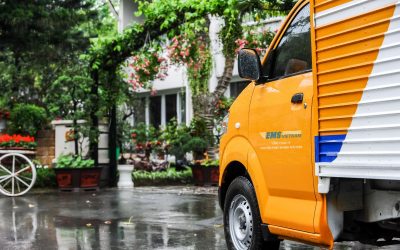 Các Bước Thủ Tục Xin Gia Hạn Visa Mỹ Qua Đường Bưu Điện