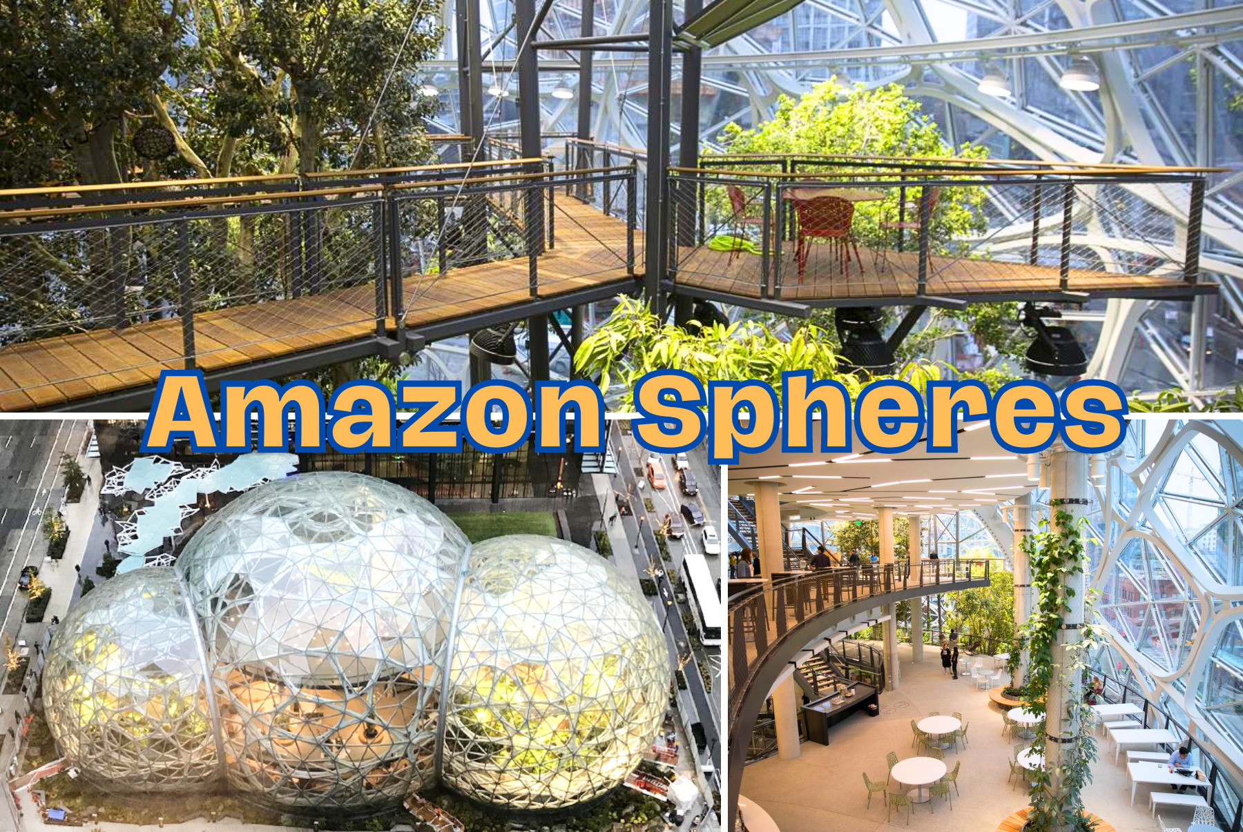 Thành phố Seattle thuộc bang Washington