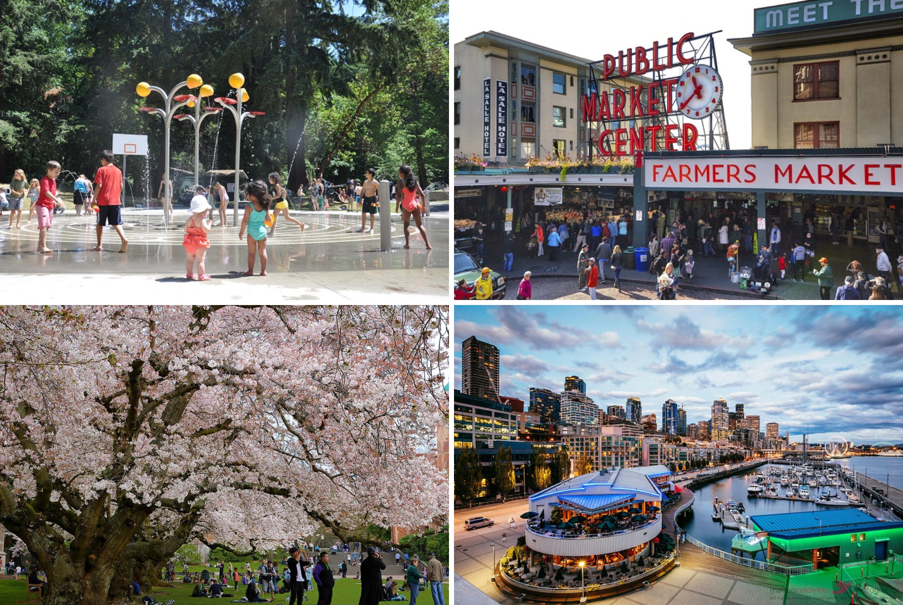 Thành phố Seattle 